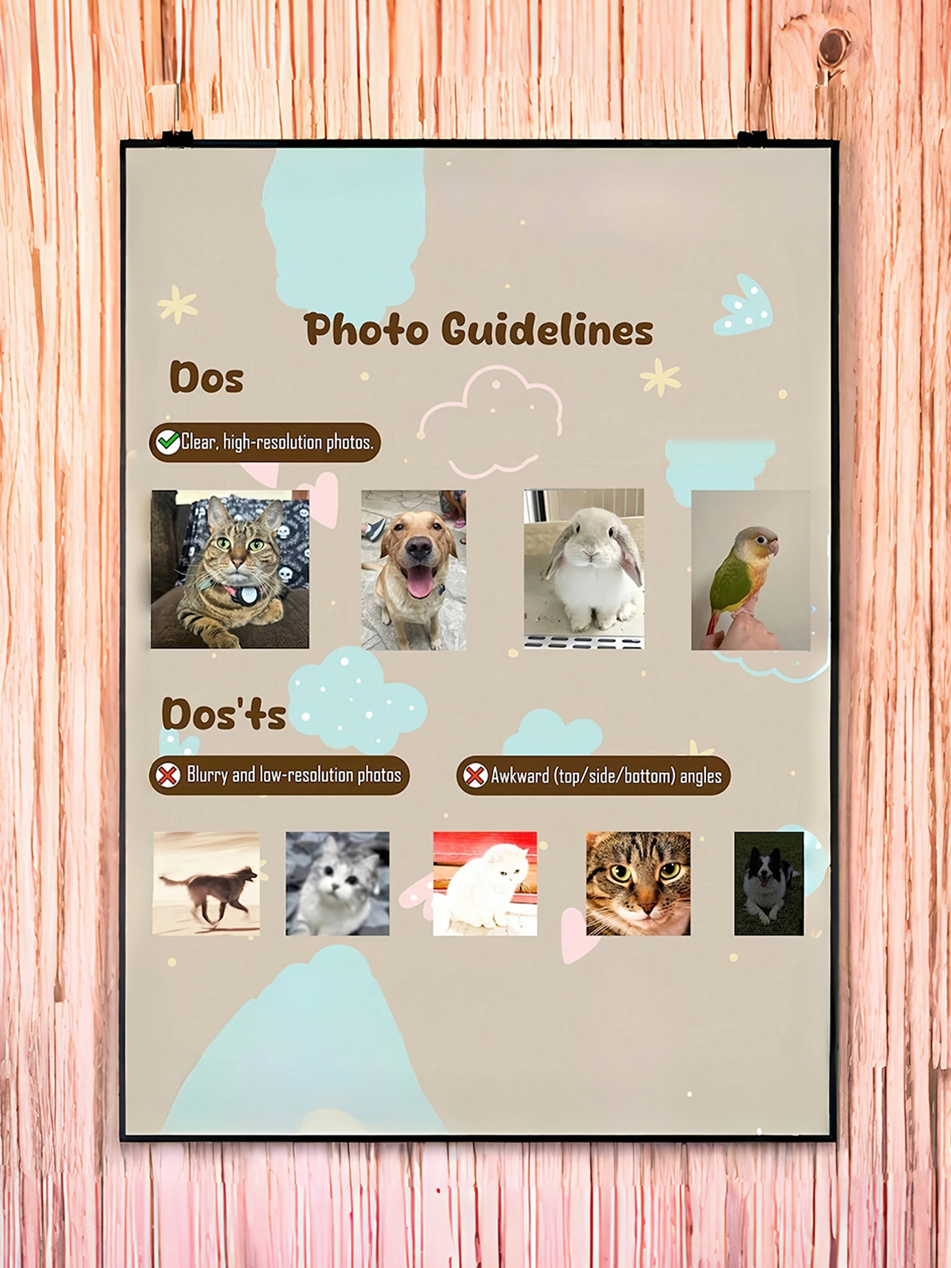 1personalized acrylic keychain, custom name and photo keychain, cat and dog acrylic keychains